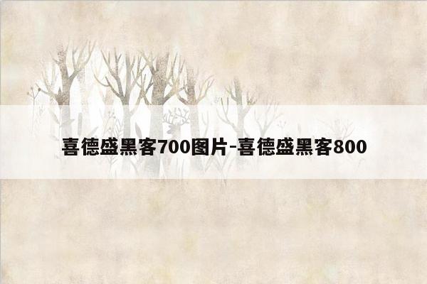 喜德盛黑客700图片-喜德盛黑客800