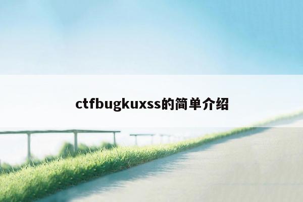 ctfbugkuxss的简单介绍