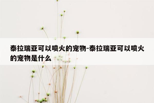 泰拉瑞亚可以喷火的宠物-泰拉瑞亚可以喷火的宠物是什么