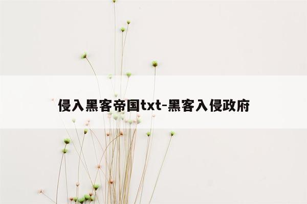 侵入黑客帝国txt-黑客入侵政府