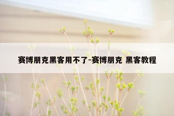 赛博朋克黑客用不了-赛博朋克 黑客教程