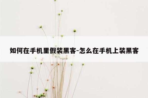 如何在手机里假装黑客-怎么在手机上装黑客