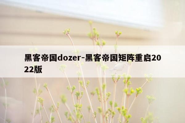 黑客帝国dozer-黑客帝国矩阵重启2022版