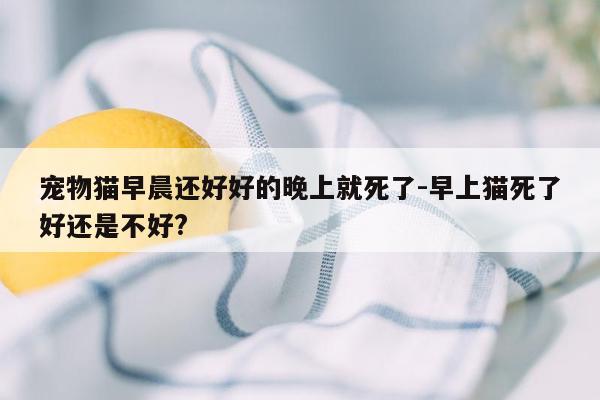 宠物猫早晨还好好的晚上就死了-早上猫死了好还是不好?