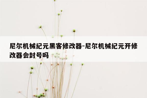 尼尔机械纪元黑客修改器-尼尔机械纪元开修改器会封号吗