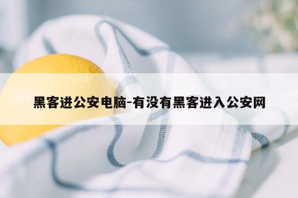 黑客进公安电脑-有没有黑客进入公安网