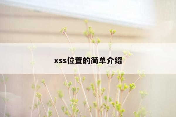 xss位置的简单介绍