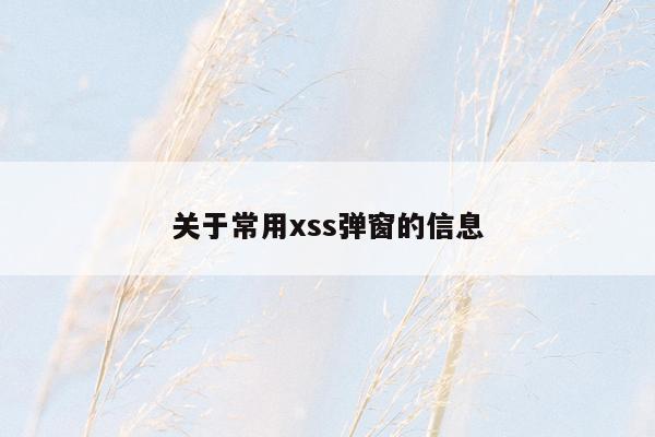 关于常用xss弹窗的信息