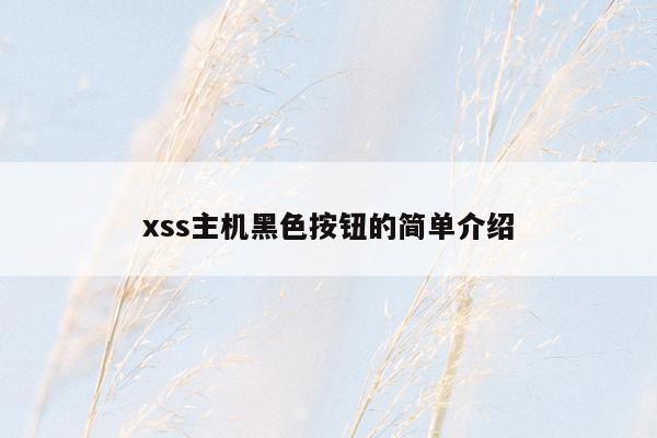 xss主机黑色按钮的简单介绍