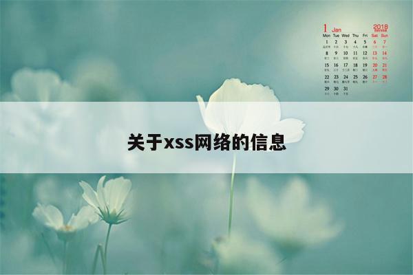 关于xss网络的信息