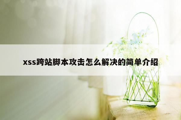 xss跨站脚本攻击怎么解决的简单介绍