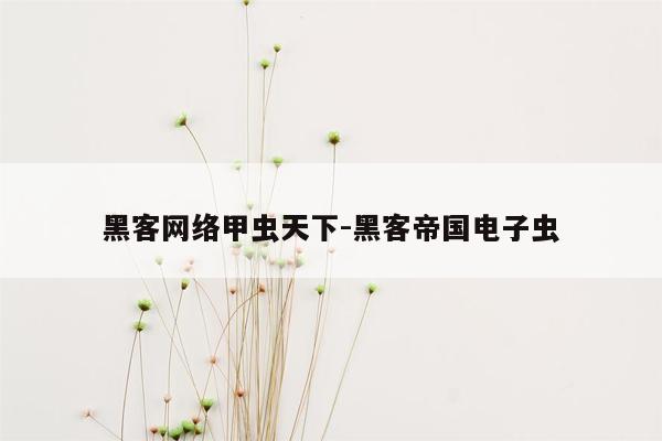 黑客网络甲虫天下-黑客帝国电子虫