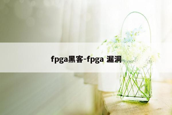 fpga黑客-fpga 漏洞