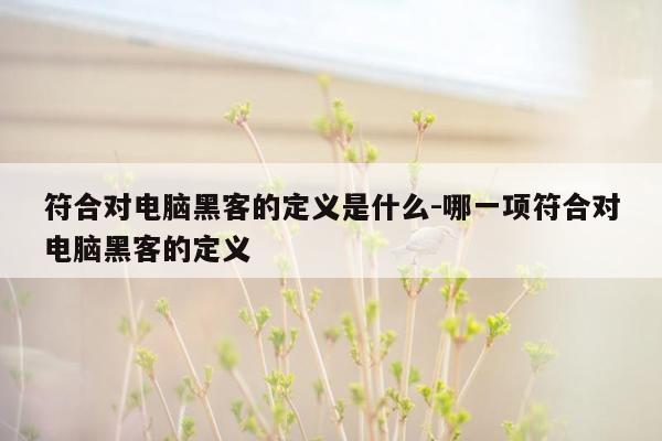 符合对电脑黑客的定义是什么-哪一项符合对电脑黑客的定义