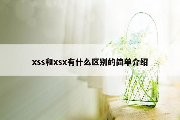 xss和xsx有什么区别的简单介绍