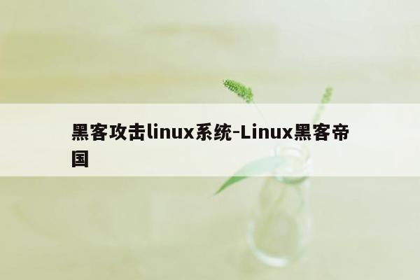 黑客攻击linux系统-Linux黑客帝国