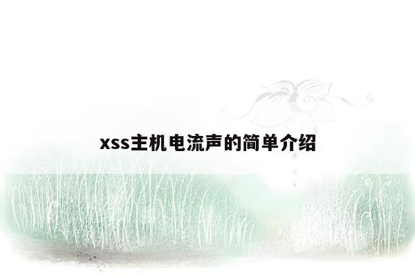 xss主机电流声的简单介绍