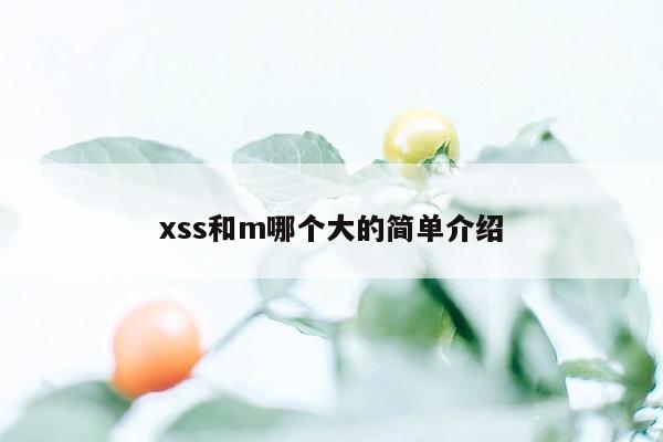 xss和m哪个大的简单介绍