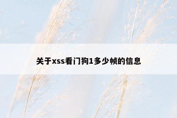 关于xss看门狗1多少帧的信息