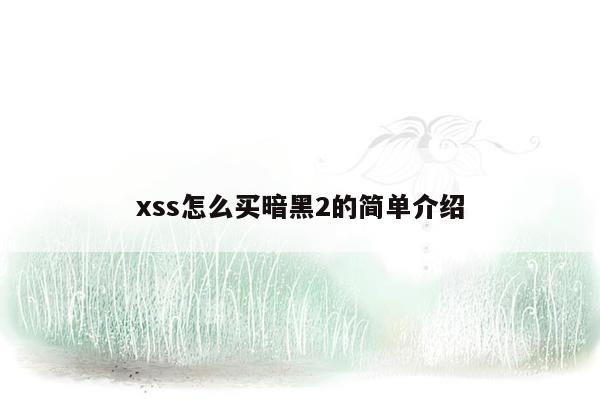 xss怎么买暗黑2的简单介绍