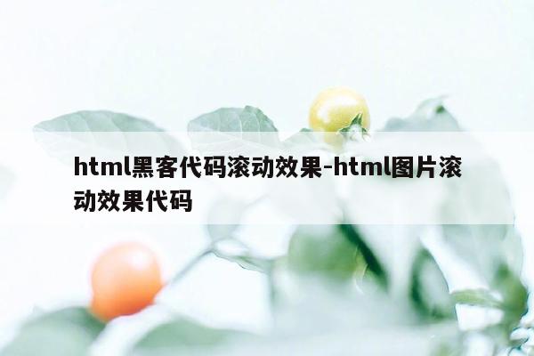 html黑客代码滚动效果-html图片滚动效果代码