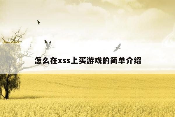 怎么在xss上买游戏的简单介绍