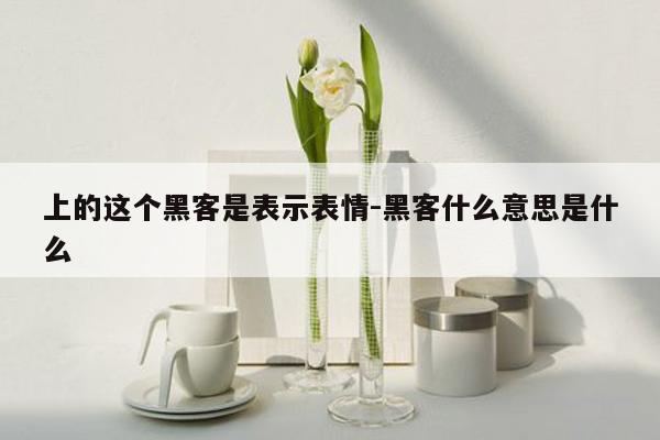 上的这个黑客是表示表情-黑客什么意思是什么