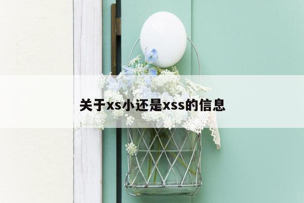 关于xs小还是xss的信息