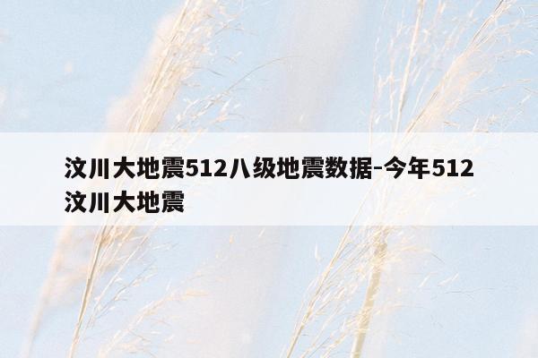 汶川大地震512八级地震数据-今年512汶川大地震