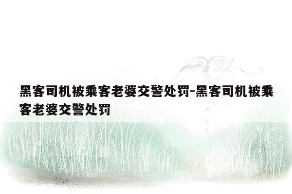 黑客司机被乘客老婆交警处罚-黑客司机被乘客老婆交警处罚