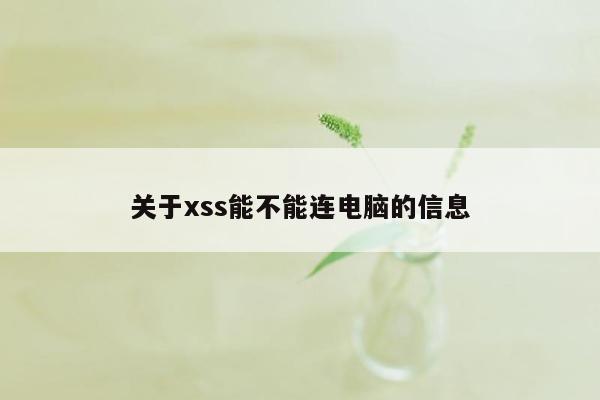 关于xss能不能连电脑的信息