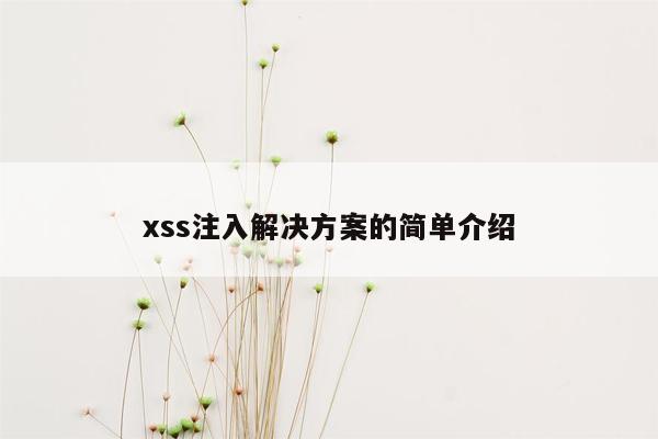 xss注入解决方案的简单介绍