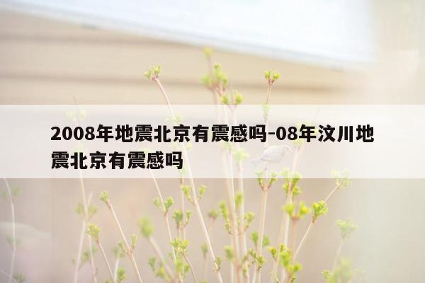 2008年地震北京有震感吗-08年汶川地震北京有震感吗