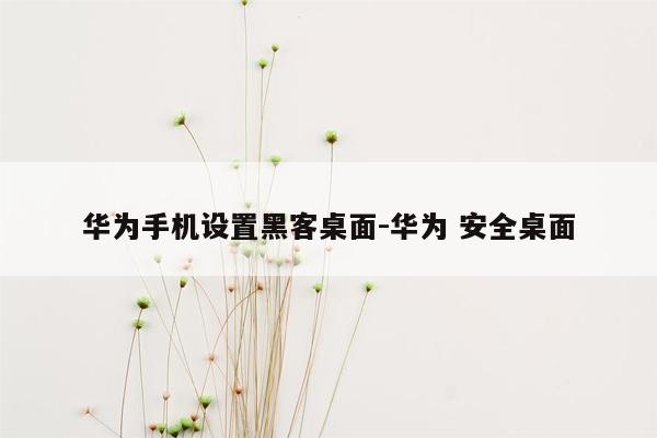 华为手机设置黑客桌面-华为 安全桌面