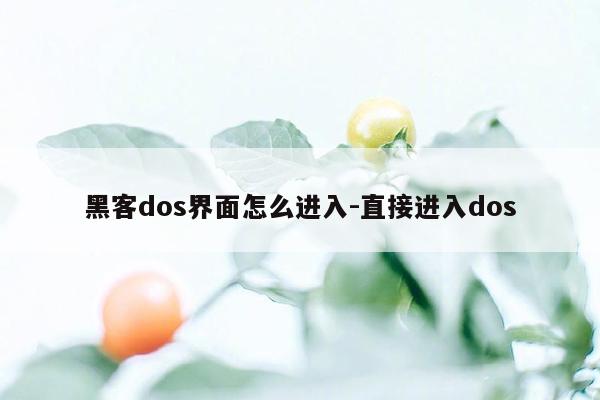 黑客dos界面怎么进入-直接进入dos