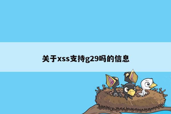 关于xss支持g29吗的信息