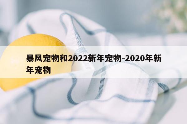 暴风宠物和2022新年宠物-2020年新年宠物