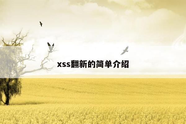 xss翻新的简单介绍