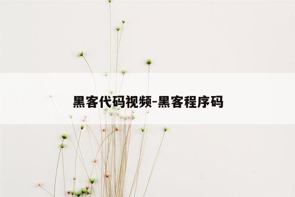 黑客代码视频-黑客程序码