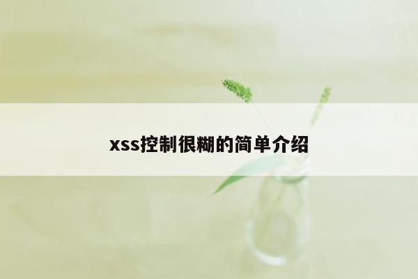 xss控制很糊的简单介绍