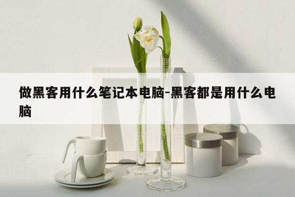 做黑客用什么笔记本电脑-黑客都是用什么电脑