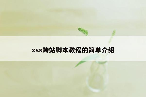 xss跨站脚本教程的简单介绍