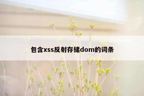 包含xss反射存储dom的词条