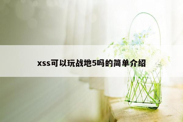 xss可以玩战地5吗的简单介绍