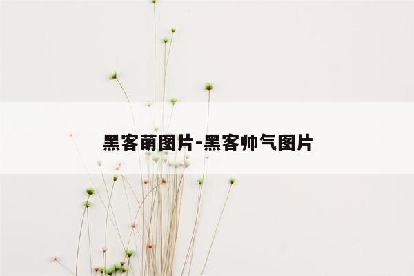 黑客萌图片-黑客帅气图片