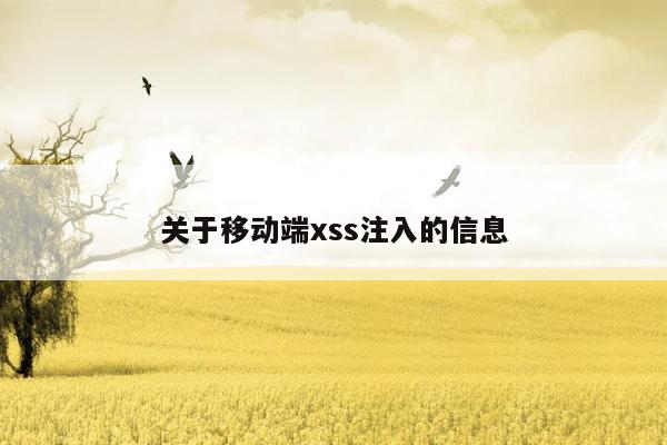 关于移动端xss注入的信息