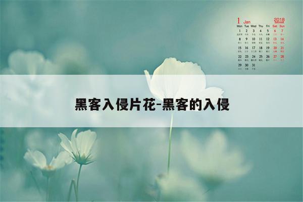 黑客入侵片花-黑客的入侵