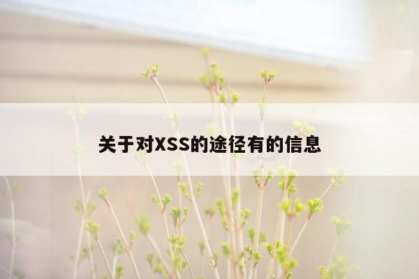 关于对XSS的途径有的信息