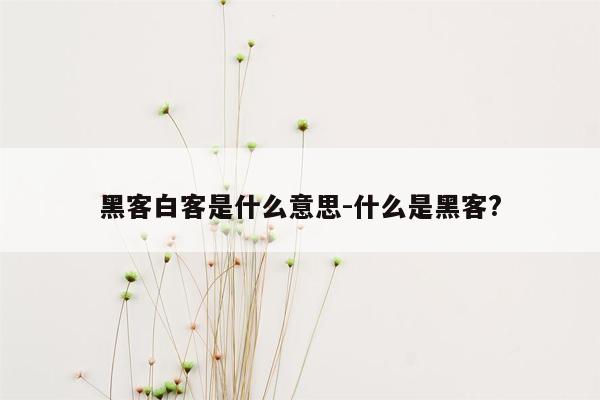 黑客白客是什么意思-什么是黑客?