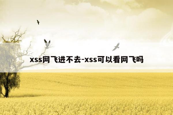 xss网飞进不去-xss可以看网飞吗